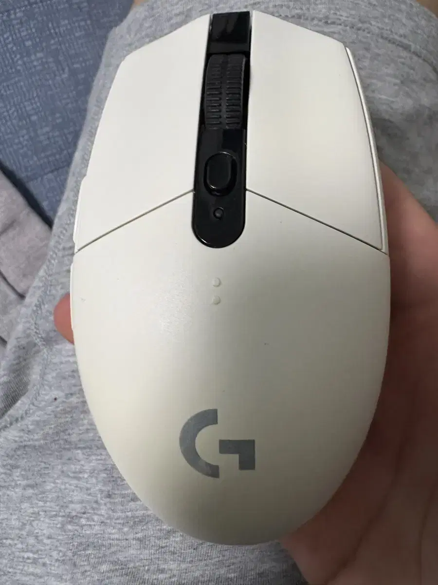 g304 화이트